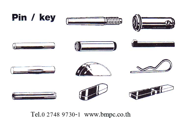 Dowel pin,Taper pin, Parallel pin, Grooved pin, Spring pin, Split pin, Cotter pin, Linch pin, Bright key, parllel key, Spiral pin